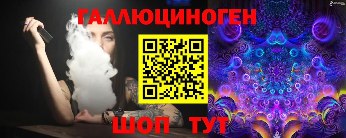 Галлюциногенные грибы Psilocybine cubensis Керчь