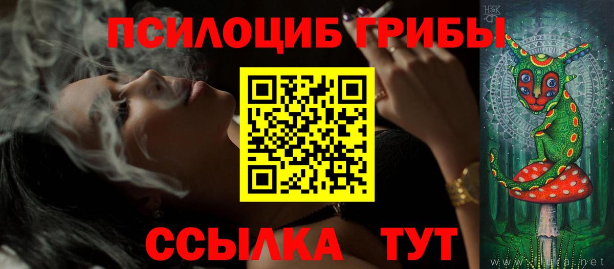 Керчь  Галлюциногенные грибы прущие грибы  Вход с VPN  Галлюциногенные грибы Cubensis 